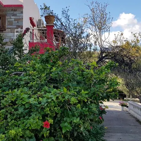 Allas, Guest Art Apartamento Agios Nikolaos
